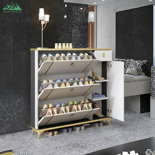 Modern Shoe Rack Cabinet – 120 × 100 × 24 cm Space Saving Shoe Organizer - enkajihomestore
